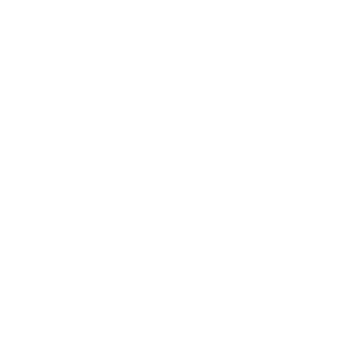 im Pädagogischen Bereich 